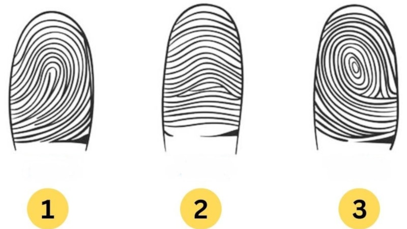 Kişilik Testi: Parmak İziniz Gizli Kişilik Özelliklerinizi Ortaya Çıkarıyor