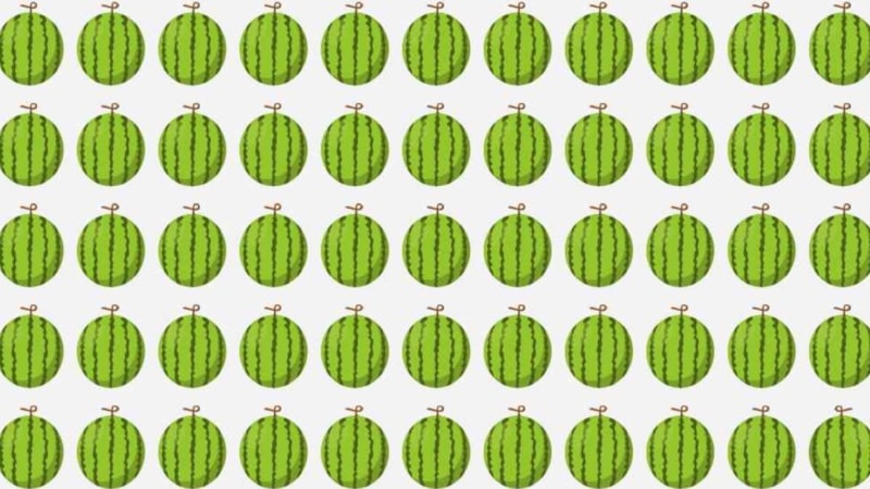 Resimdeki karpuzlardan hangisi farklı? 10 kişiden 2’si bulamıyor… Sadece 4 saniyeniz var