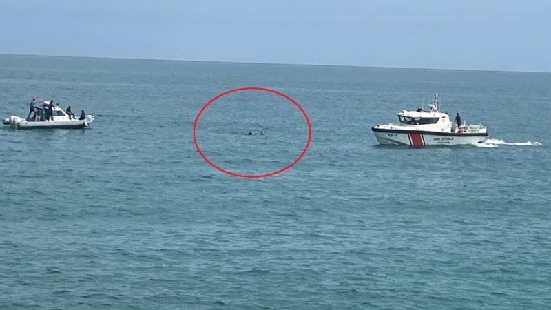 Samsun'da serinlemek uğruna canından oldu