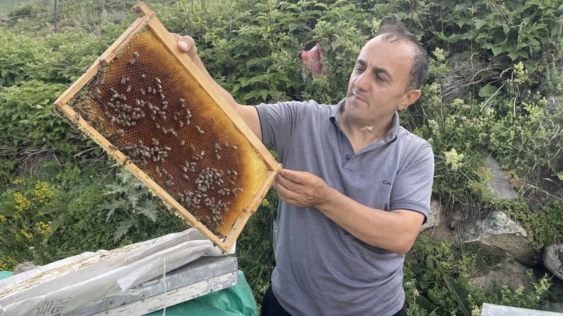 Dünyaca ünlü Anzer Balı'nın kilogram satış fiyatı 4 bin TL oldu
