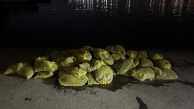 İstanbul Beyoğlu'nda 1,5 ton kaçak midye ele geçirildi