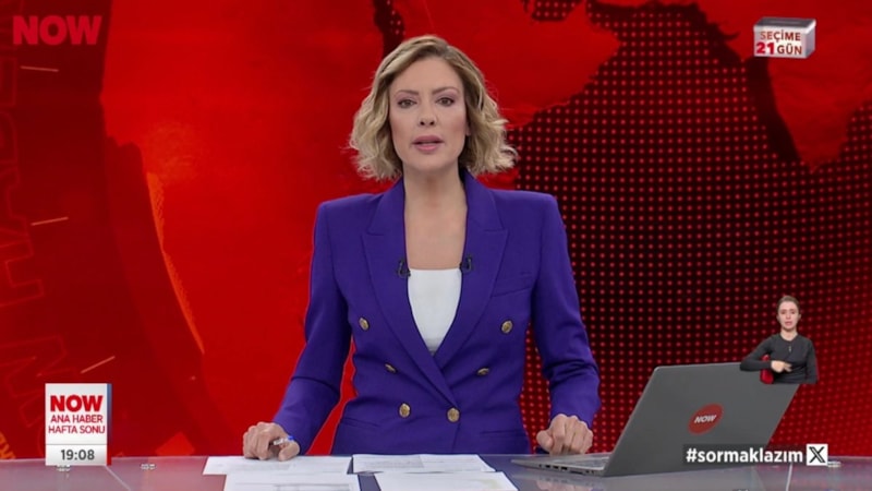 Gülbin Tosun'dan sokak köpekleri için ayaklanma açıklaması