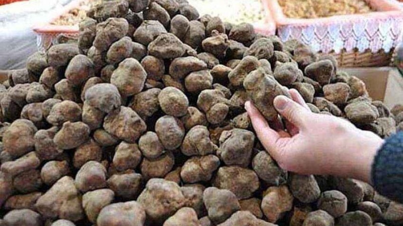 Adı garip ama servet değerinde! Köylüler 