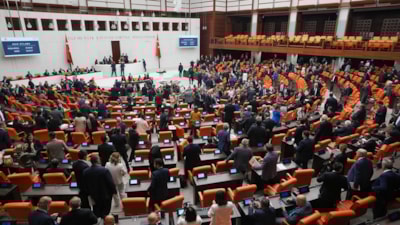 Başıboş sokak köpekleri düzenlemesi Meclis'te kabul edildi