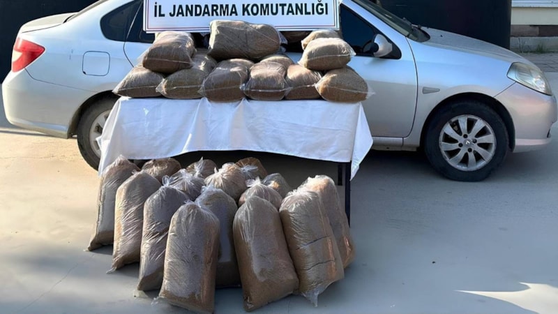 Mersin'de 310 kilo kaçak tütün ele geçirildi