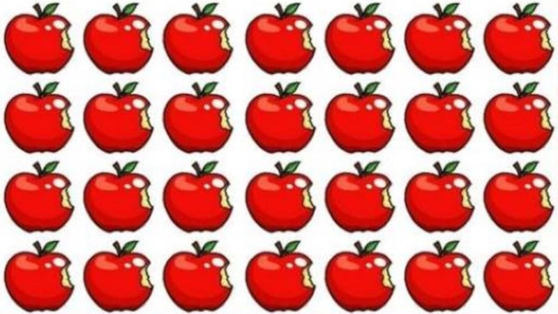 Gece bulmacası: Sadece süper zekalar görecek! Farklı olan ısırık hangisi?