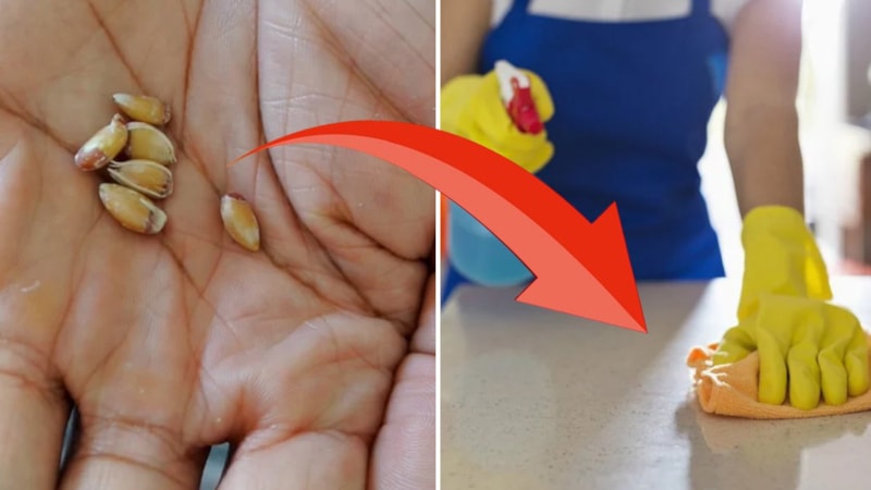 Limon çekirdekleriyle karıştırın, mutfak tezgahlarını pırıl pırıl parlatın