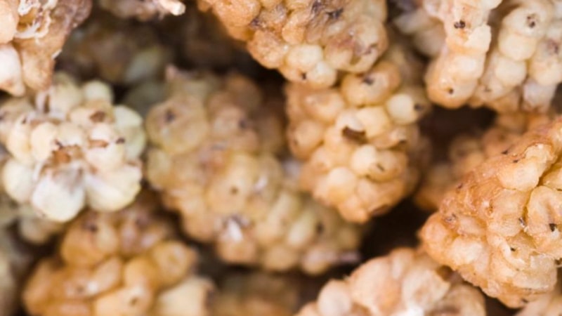 Uyku öncesi 1 avuç yiyin, sabaha bakın neler olacak...