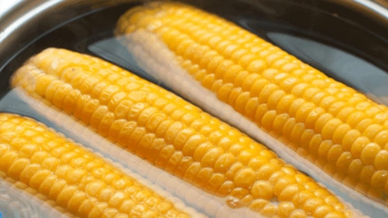 Mısır haşlama suyunu dökenler yandı! Meğer tam bir şifa kaynağıymış...