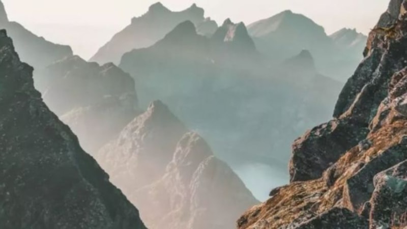 İnsanların sadece %5'i resimdeki kartalı ilk bakışta görüyor! Şimdi sıra sizde...