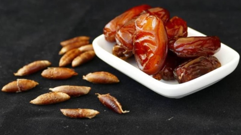 Hurma çekirdeğini blendera atın, şifayı garantileyin...