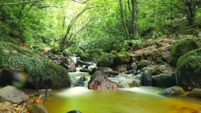 İstanbul’un dibindeki cennet: Bu şelalede suya giren, şifa buluyor