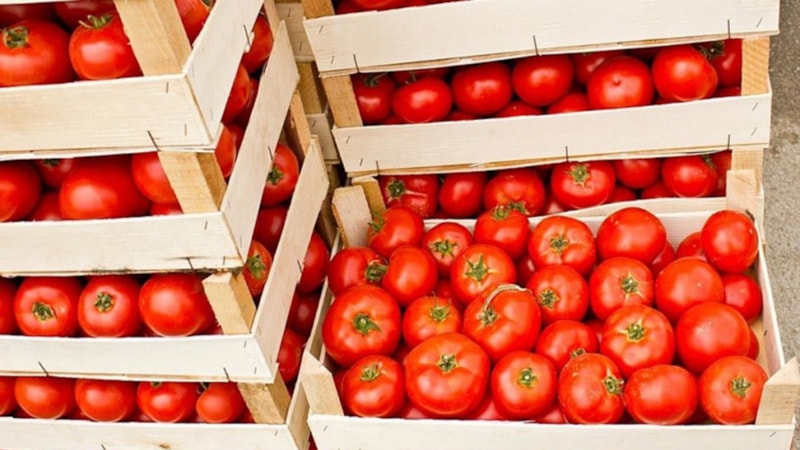 10 kilo domatesi olan başlasın! Kışın kolaylık sağlıyor...