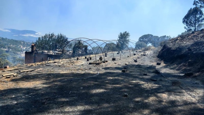 Aydın'da yangın sonrası hasar tespit çalışmaları