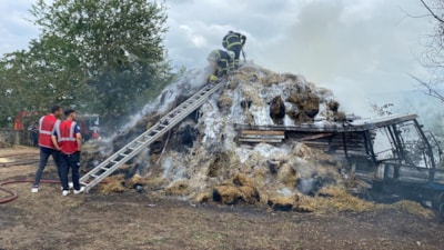 Ordu'da mandırada yangın