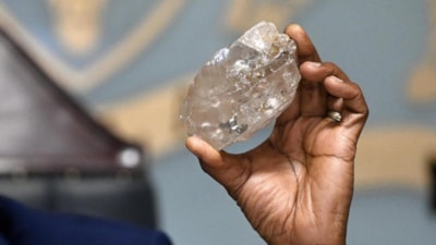 Dünyanın en büyük ikinci elması bulundu