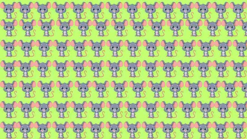 Optik İllüzyon: Sherlock gibi düşünün, farklı fareyi görün