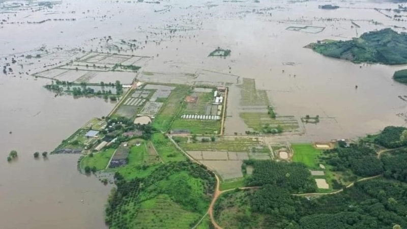 Tayland’da sel ve toprak kayması: 22 ölü, 19 yaralı