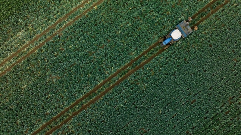 Çiftçilerin 2025 ÇKS başvuruları, 1 Eylül'de başlıyor