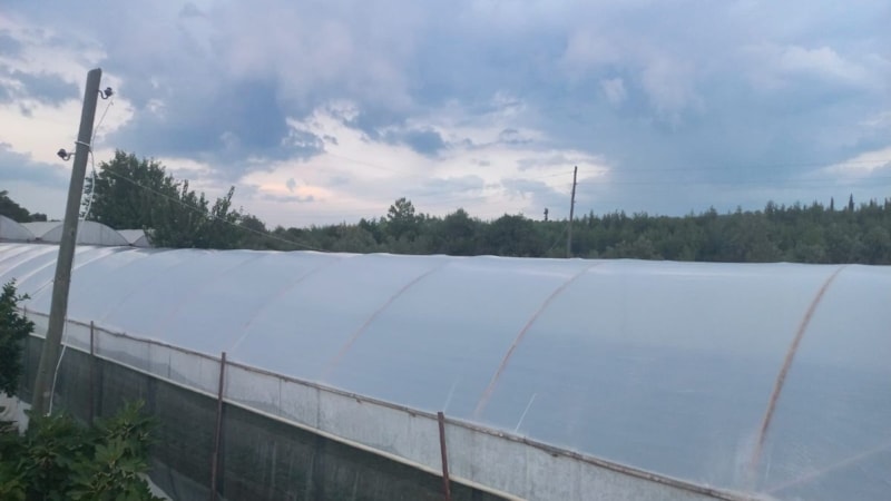 Antalya'da direkten sarkan kabloyla elektrik akımına kapıldı