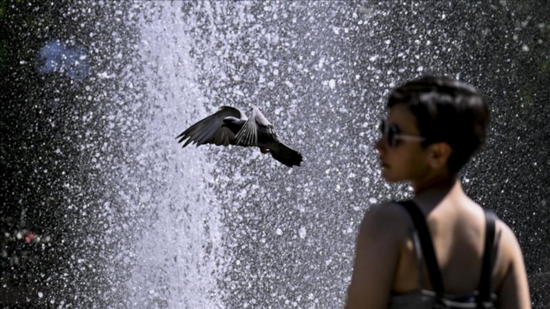 Dünya 2024'te en sıcak yazı yaşadı