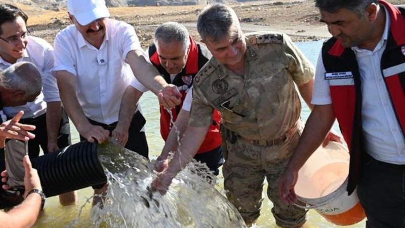Batman'da baraj göllerine 2 milyon yavru sazan balığı bırakıldı