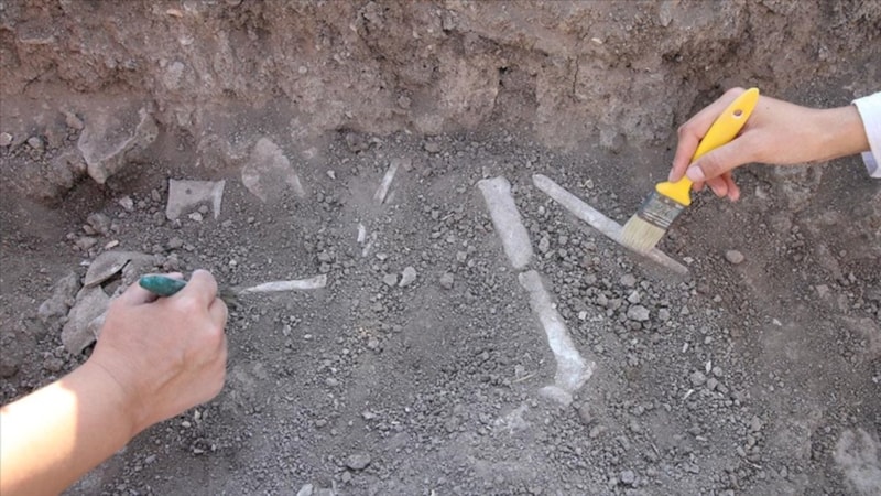 Kahramanmaraş'ta 7 bin 600 yıl öncesine tarihlenen çocuk iskeleti bulundu