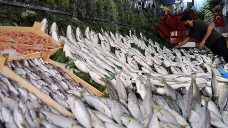 Havalar bozdu, fiyatlar uçtu! İşte güncel balık fiyatları 2024: Palamut, istavrit, çinekop…
