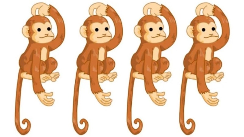 Farklı olan maymunu 5 saniyede bulun, zekanızı kanıtlayın