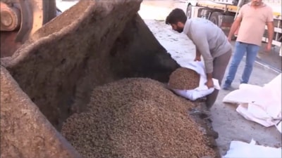 Şanlıurfa'da Suriye’den gelen tırda 79 ton ceviz içi ele geçirildi