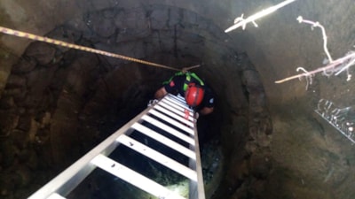 Zonguldak'ta su kuyusuna düşen kedi kurtarıldı