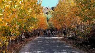 Bitlis Nemrut Kalderası'nda sonbahar güzelliği