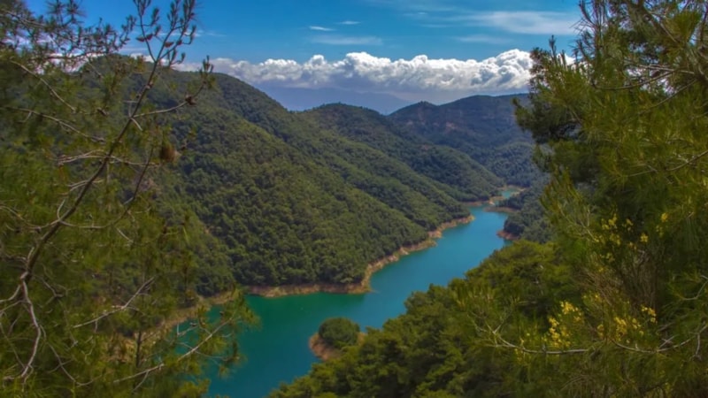 Türkiye’nin ilk terapi ormanı açıldı! Yüzü asık giren pamuk gibi olup çıkıyor...
