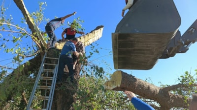 Osmaniye'de kestiği ağacın altında kalarak hayatını kaybetti