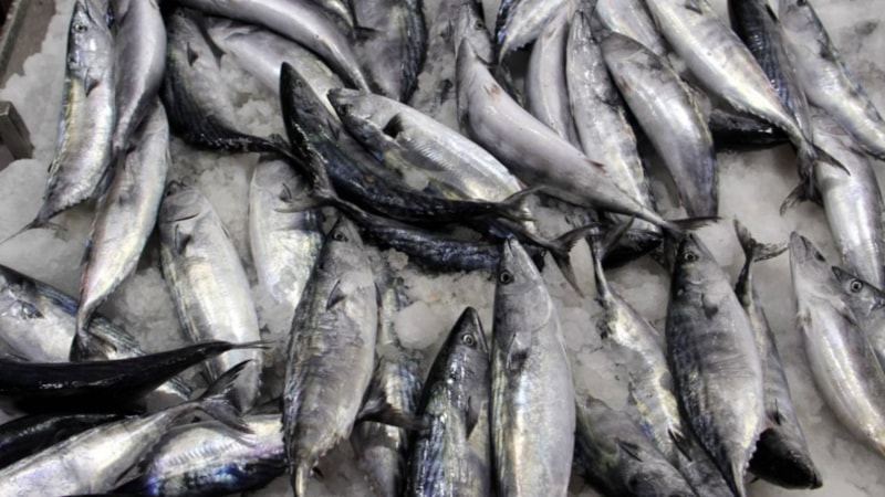 Hava koşulları balık fiyatlarını artırdı