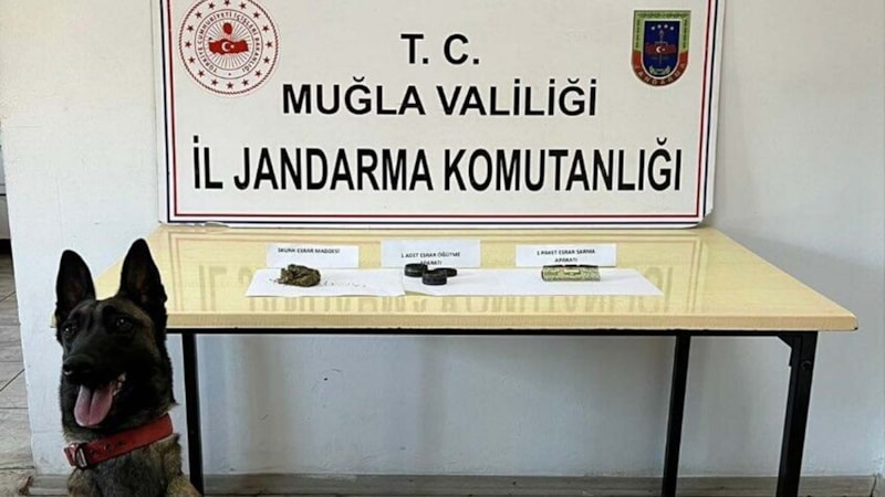 Muğla'da uyuşturucu operasyonu: 6 gözaltı