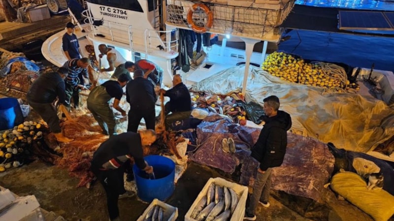 Çanakkale'de balıkçıların bereketli avı