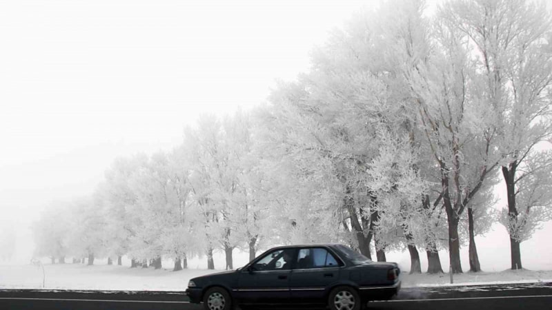 Gece en düşük hava sıcaklığı Erzurum'da eksi 11,1 derece olarak kaydedildi