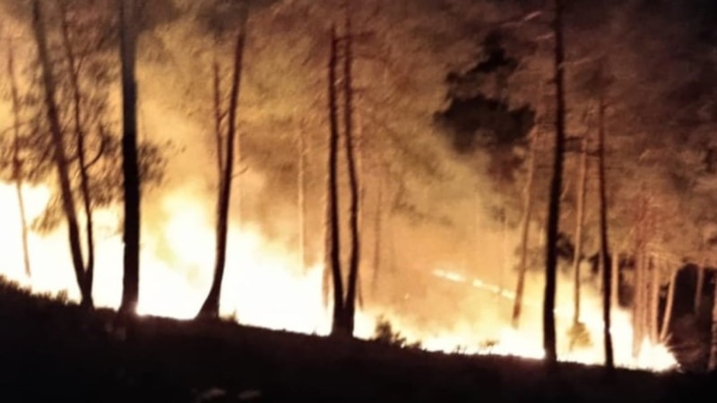 Kütahya'daki orman yangını kısa sürede söndürüldü