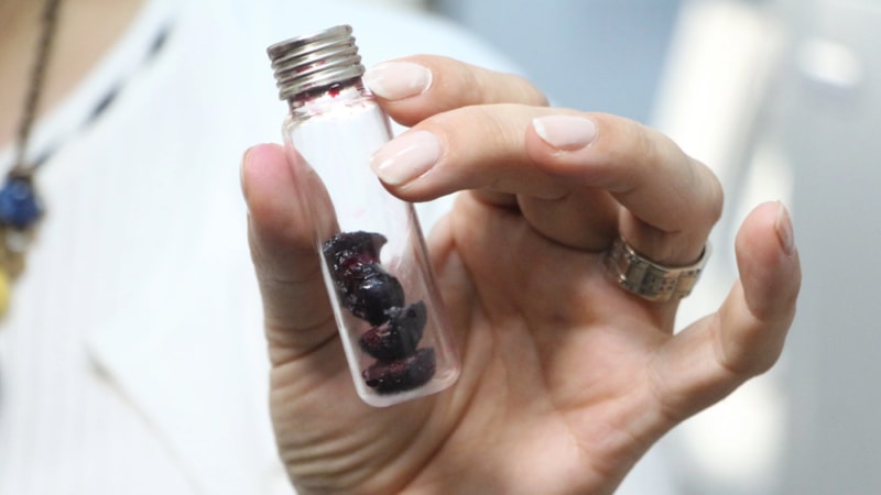 Topraksız yetişiyor, kanseri önlüyor! Kilosu 300 TL’den satılıyor, bir bardağı şifa dağıtıyor...