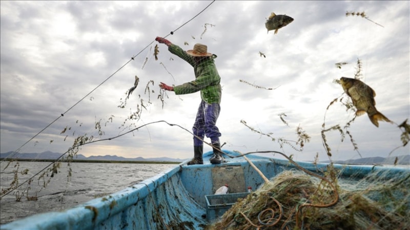 Bakanlık duyurdu: Yasaklara uymayan balıkçılara göz açtırılmayacak