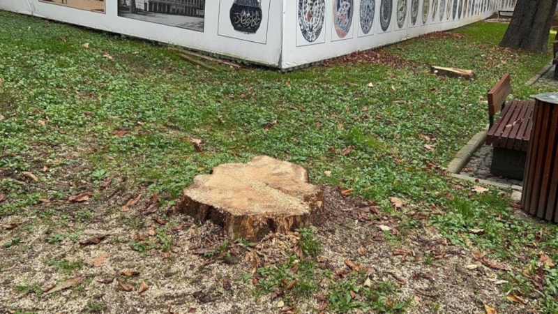 İBB, Gülhane Parkı'ndaki 50 ağacı kesti