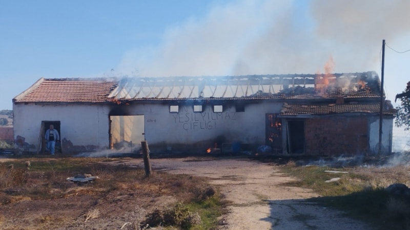 Edirne'de anız yangını: 15 ton buğday kül oldu