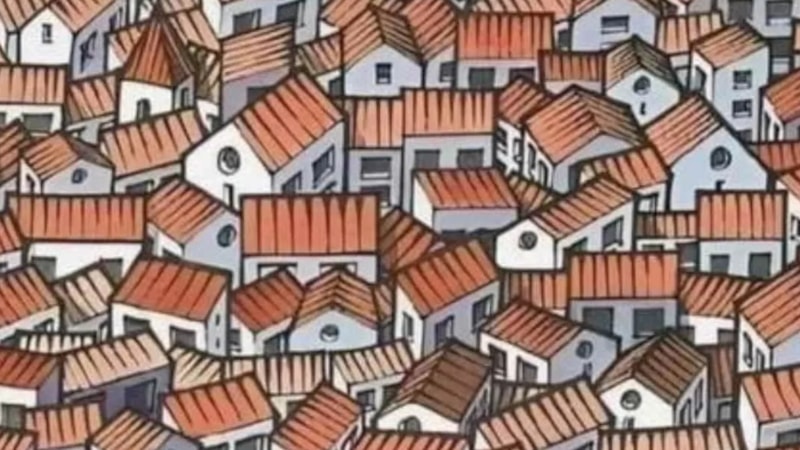 Resimdeki gizli kediyi sadece dahiler bulabiliyor! 7 saniyeniz var...