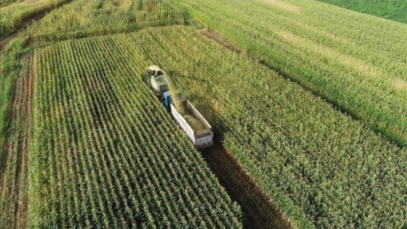 Türk tarım ürünleri için İngiltere pazarında yeni fırsatlar yolda