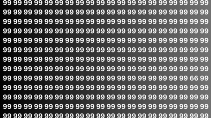 Şahin gibi keskin gözleri olanlar farklı sayıyı 7 saniyede bulabiliyor! Sıra sizde...