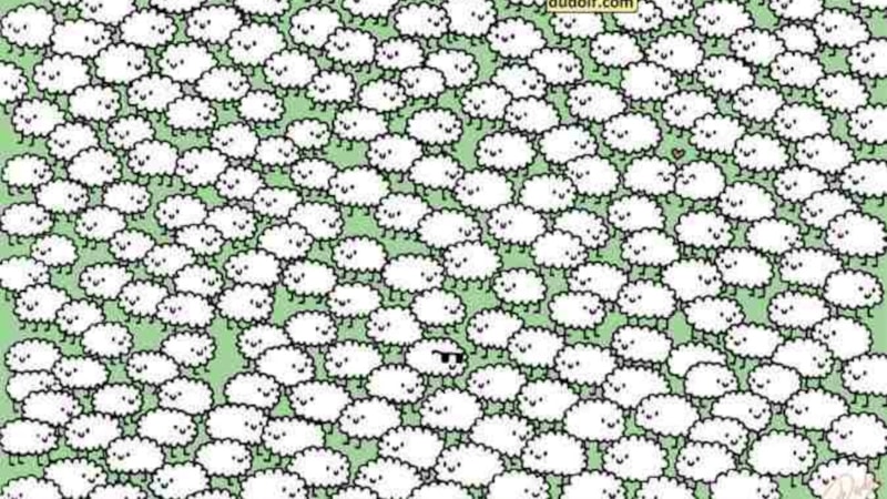 İnanılmaz illüzyon! Kaç tane bulut var? İnsanların sadece %2'si görebiliyor..