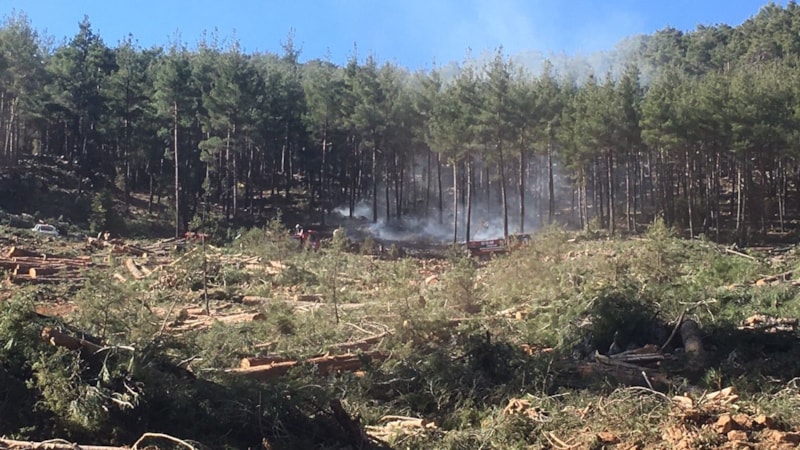 Burdur'daki orman yangınında 3 dönümlük alan zarar gördü