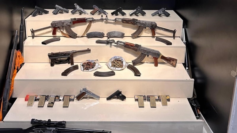 Van merkezli 6 ilde silah kaçakçılarına İHA destekli operasyon