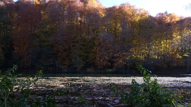 Bolu Yedigöller Milli Parkı'nda sonbahar güzelliği